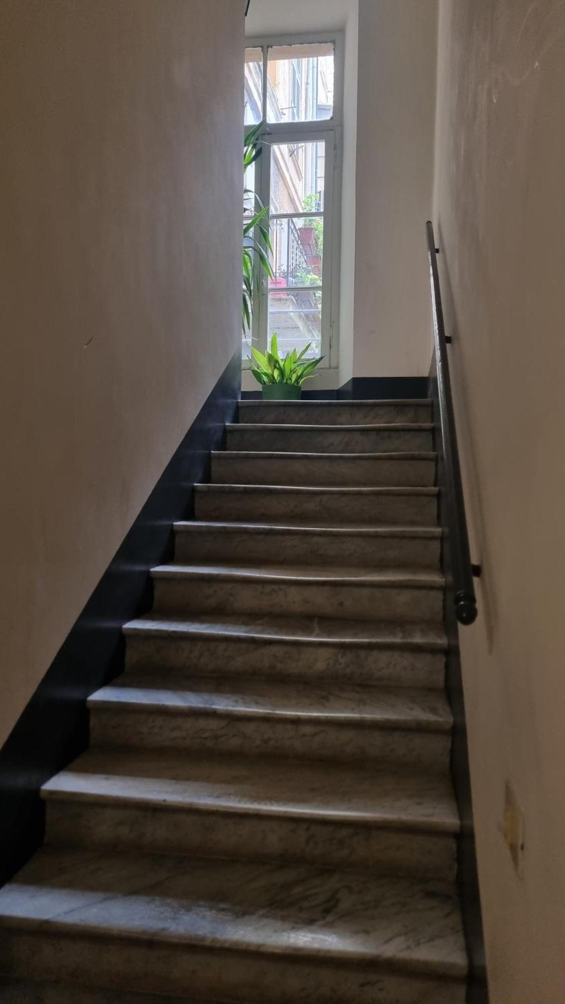 Domus Alexander, Terrace Downtown Apartment روما المظهر الخارجي الصورة